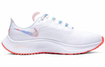 Кроссовки Nike Pegasus 37 (Женская размерная сетка)