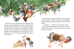 Однажды в Симплвельде. Волшебные камни Бааса