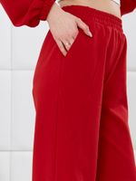 Брюки Баланс-2 Виотекс КРАСНЫЙ