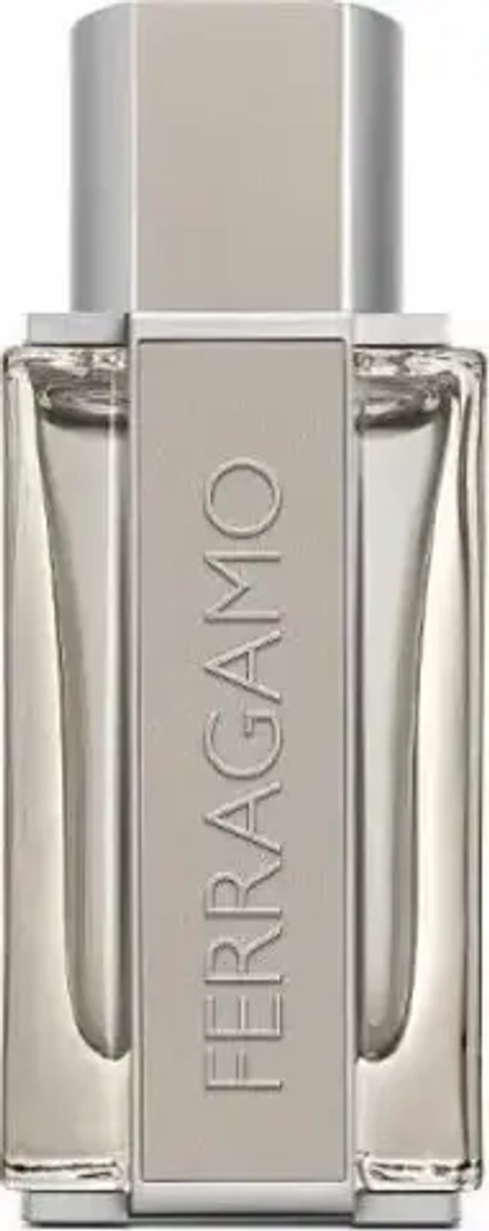 Мужская туалетная вода Salvatore Ferragamo Bright Leather EDT 50 мл
