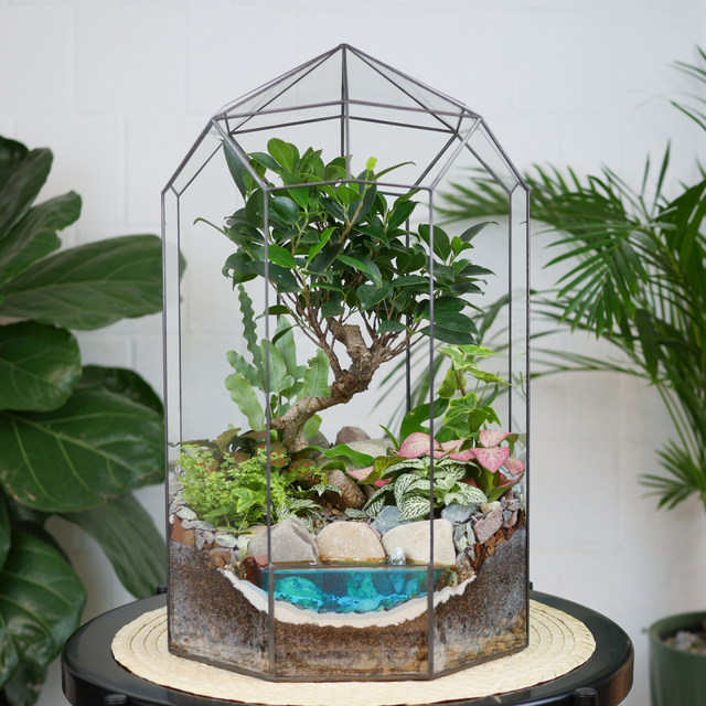 Готовый флорариум Ботанический сад Фикус XL 45см с озером