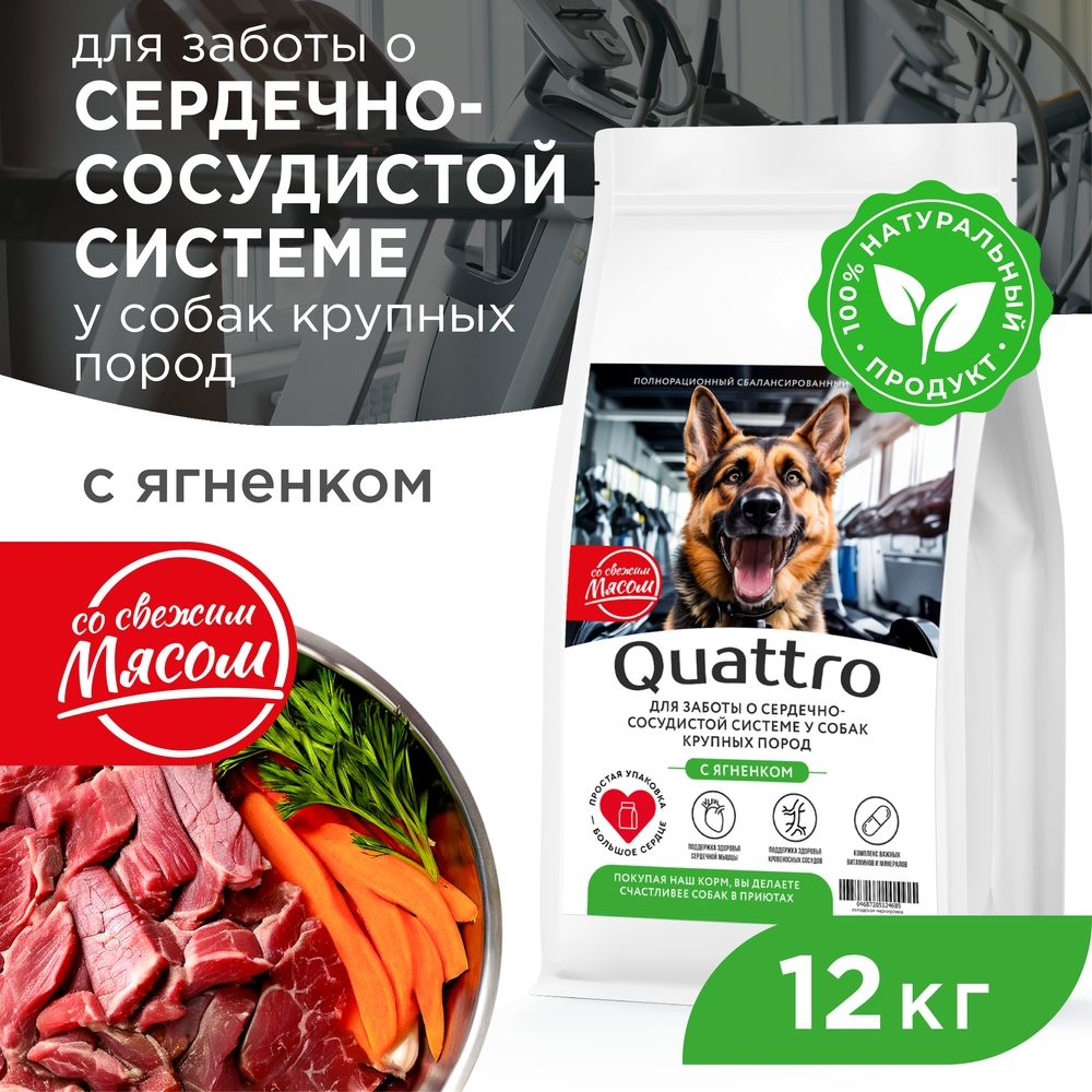 Корм сухой для взрослых собак крупных пород, премиум полнорационный комплекс, для сердечно-сосудистой системы, с ягненком, 12 кг, QUATTRO