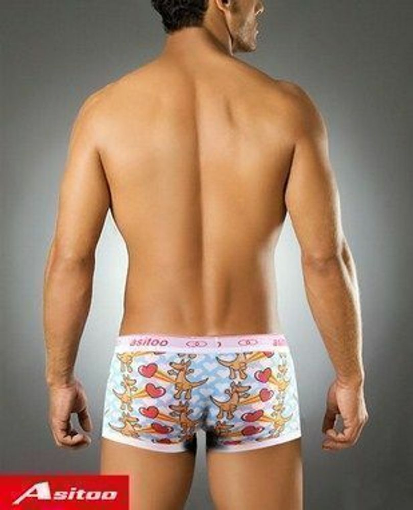 Мужские трусы хипсы Asitoo Modal Kangaroo Boxer AST0052