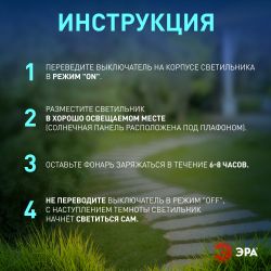 Светильник уличный ЭРА SL-PL31 на солнечной батарее садовый черный 31 см | Садовые декоративные светильники