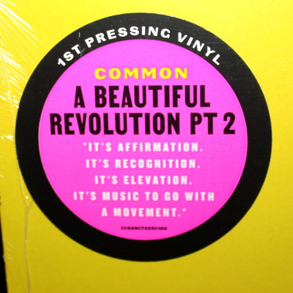 Common / A Beautiful Revolution, Pt 2 (LP)