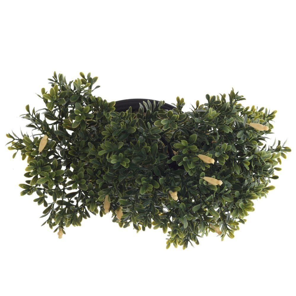 GAEM Цветочная композиция, L26 W20 H25 см