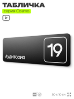 Таблички с номером аудитории "Аудитория №19", для офиса, 30 х 10 см, серия COSMO 3010, черная, Айдентика Технолоджи