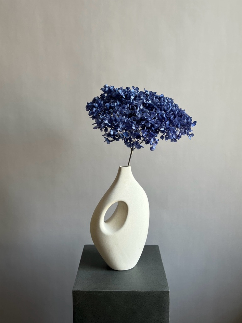 Гортензия стабилизированная сиренево—синяя