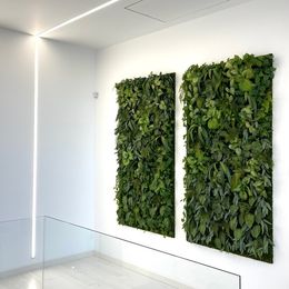 Фитостены из искусственных растений