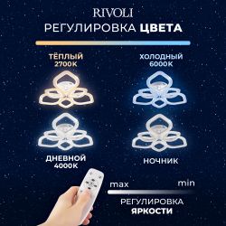 Светильник потолочный светодиодный Rivoli   6110-107 106 Вт LED 2800К - 6200К модерн с пультом
