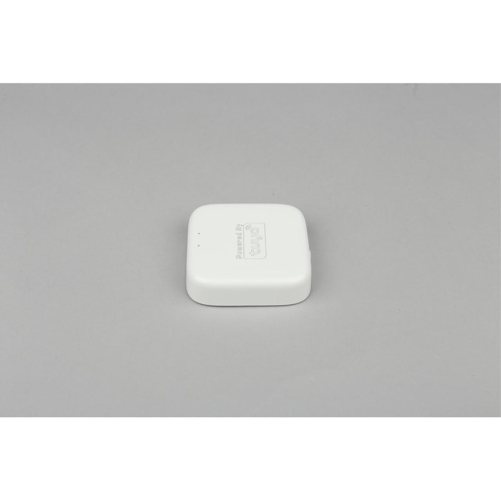 Шлюз управления Aployt Magnetic track 220 APL.0295.00.01