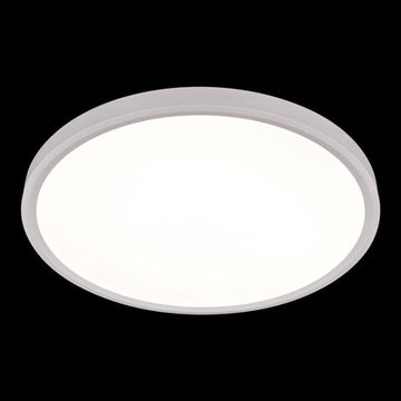 Потолочный светильник LED 40W 4000К 10227/40 White белый Extraslim LOFT IT