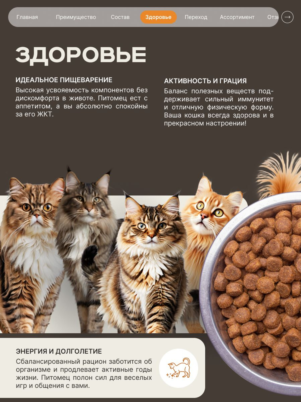 Корм сухой для кошек породы Сибирская кошка, с индейкой, 400 гр, QUATTRO