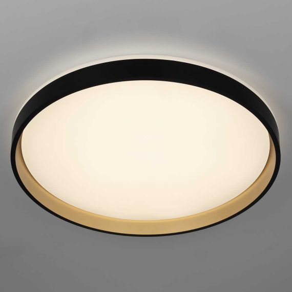 Светильник потолочный Citilux ENZO CL753511G