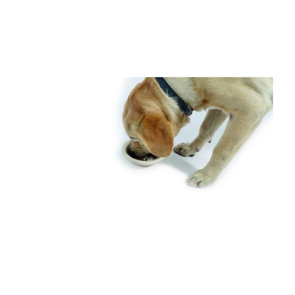 M-PETS Миска для собак ECO Bamboo, бамбук, 300 мл