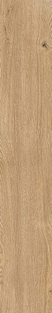 Керамогранит FOUR SEASONS LIST.CHOC. NAT R (PF60012950)