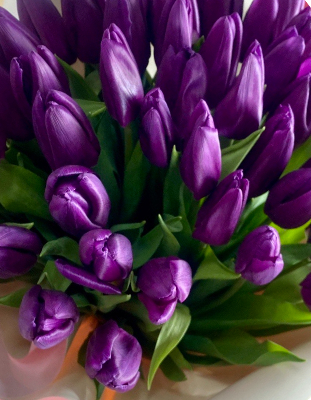 Букет из 45 фиолетовых тюльпанов