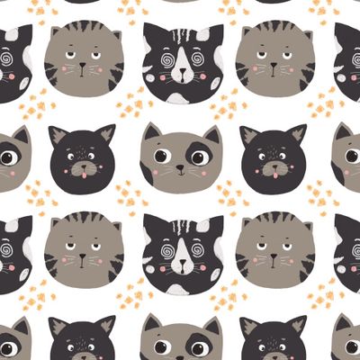 Котики