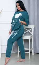 [m]Комплект штаны+футболка д/р(норма) М572