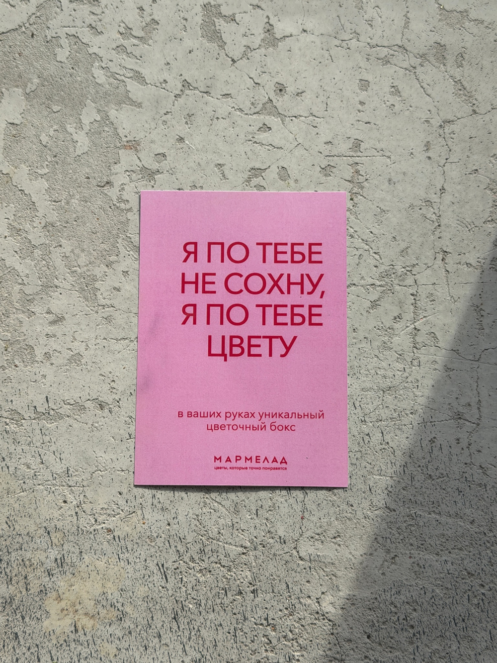 ЦВЕТОЧНЫЙ БОКС