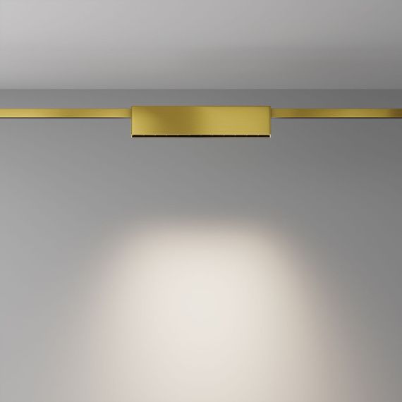 Трековый светодиодный светильник Maytoni Flarity Points TR150-1-12W4K-M-BS