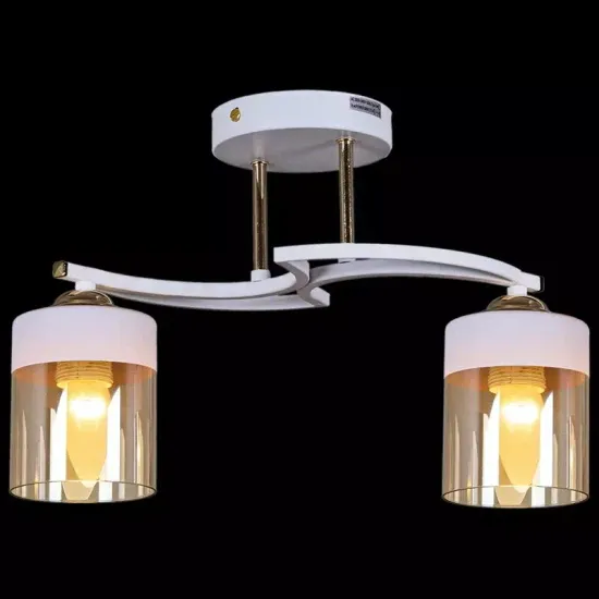 Светильник потолочный 05507-0.3-02 WT FGD