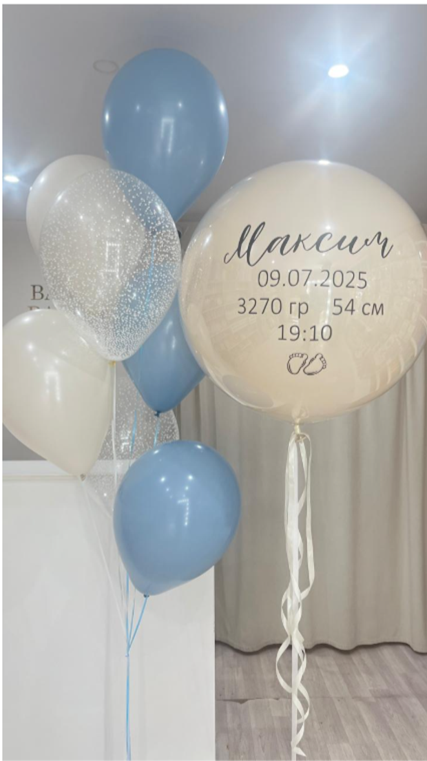 Шары на выписку №299