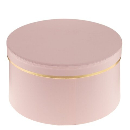 GAEM Коробка подарочная, L20 W20 H10 см