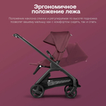 Прогулочная коляска Bugaboo Dragonfly complete Black/Dark Cherry-Dark Cherry