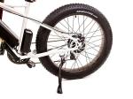 Электрофэтбайк El-sport bike TDE-03 350W