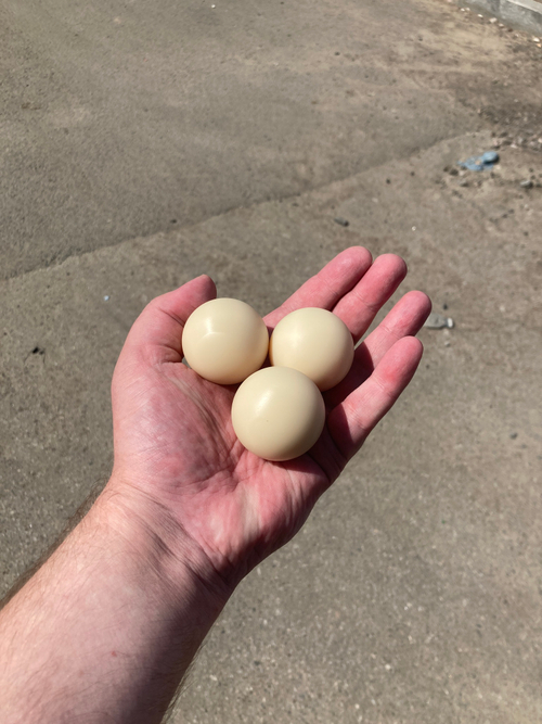 Полиамид 6-бл. (капролон) стеклонполненный Шар - 44 мм