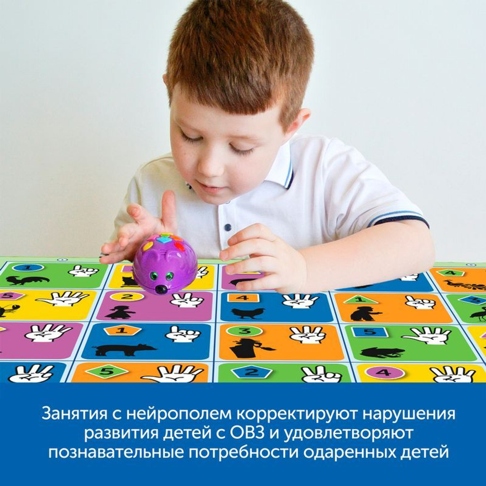 Комплект Нейроигры с РобоМышью для одаренных, нормотипичных и детей с ОВЗ