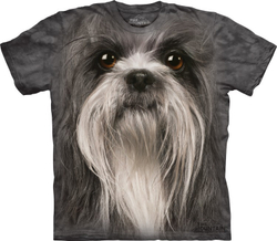 Shih Tzu Face