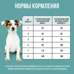Уценка! Повр.упак. / Сухой корм BOWL WOW для собак мелких пород с индейкой, рисом и розмарином