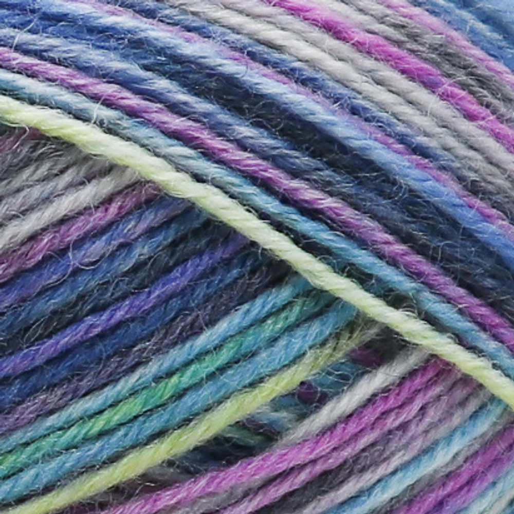Regia Anniversary Color 4 ply - 04075 (lucky color)
