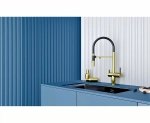 Смеситель для кухни Paulmark Gravity Gr213888-G золото
