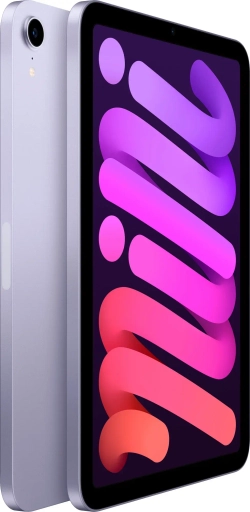 iPad mini (2021) 256GB