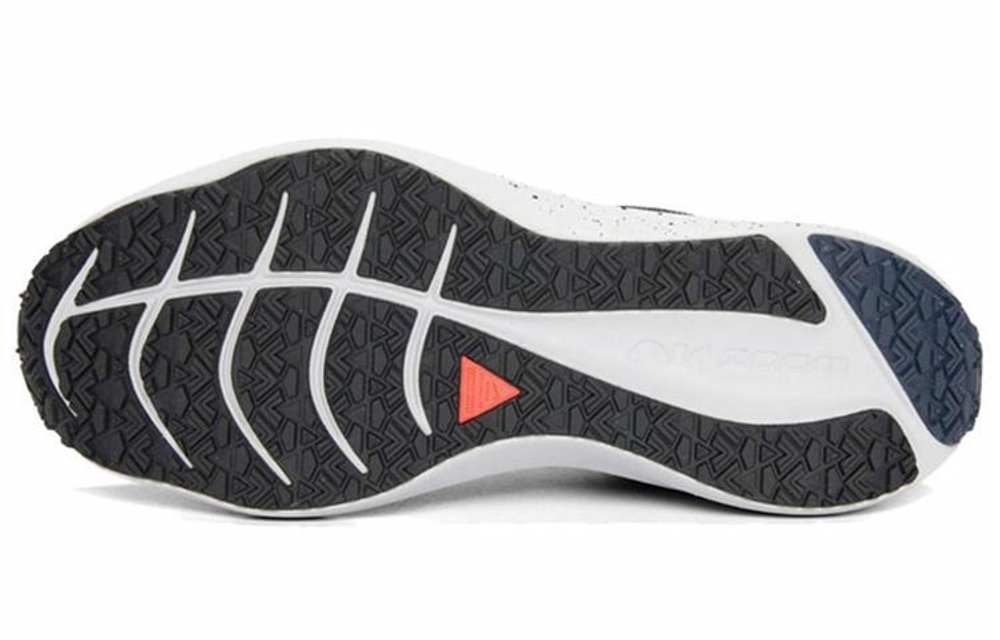 Кроссовки Nike Zoom Winflo 8