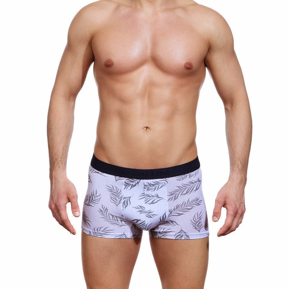 Мужские трусы боксеры серые  с принтом Sergio Dallini SG2310-1