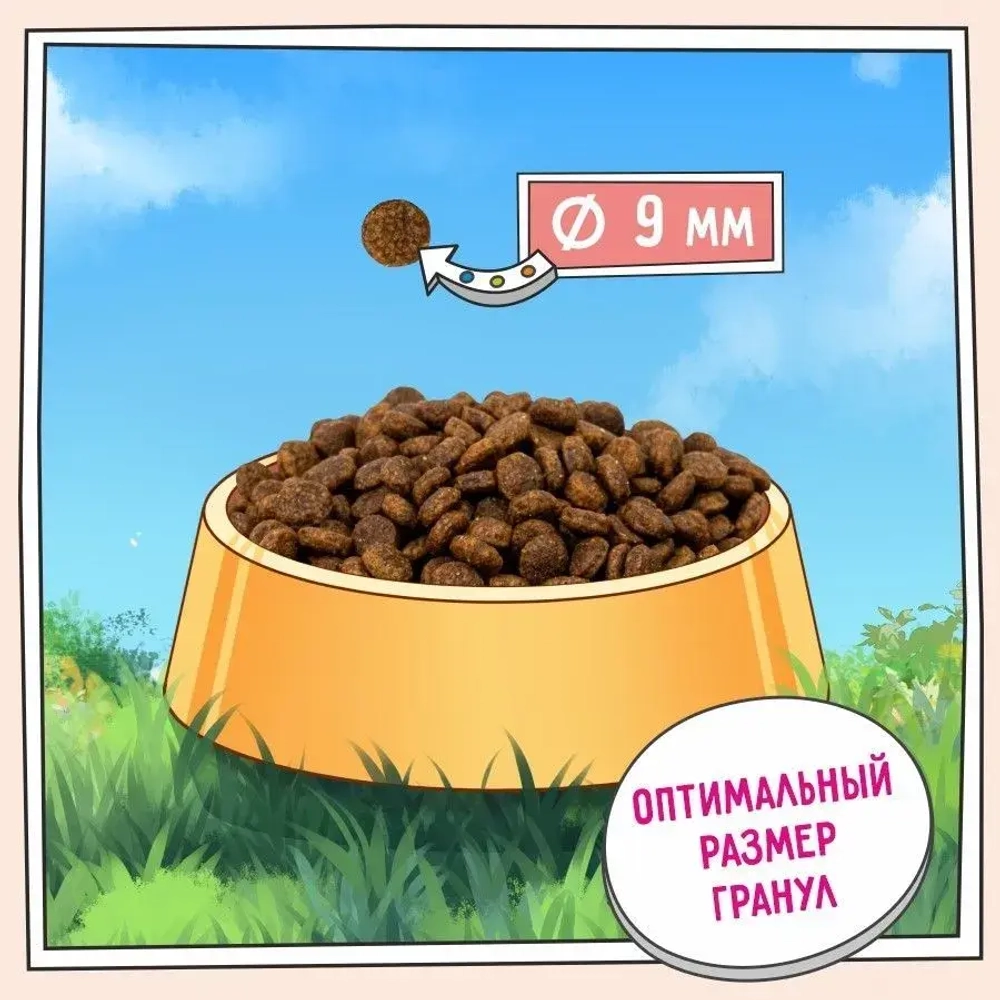 Корм для стерилизованных кошек сухой ZILLII Cat Sterilized Light 10кг, для животных с избыточным весом, с индейкой и ягнёнком