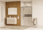 Боковая панель Roca Leon 700х1950мм, профиль хром, стекло прозрачное ZRU9307668