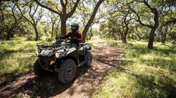 Квадроцикл BRP Can-Am Outlander MAX DPS 570 2021 (ПСМ)