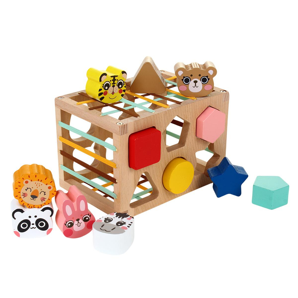 Развивающая игрушка деревянная Сортер кубик, коробка C-41818