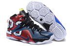 Кроссовки Nike Lebron 12 Se Ep What The Lebron 12