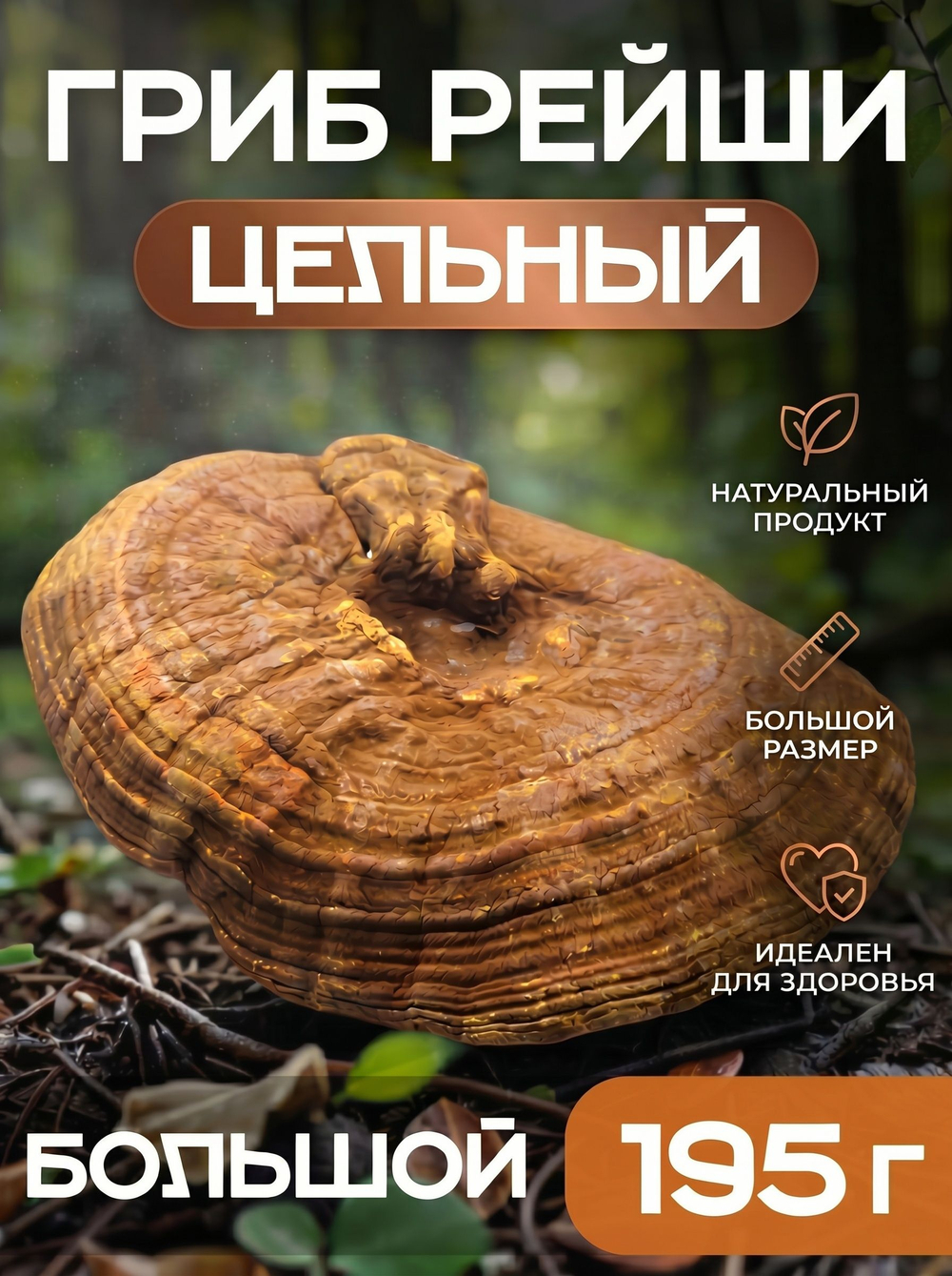 Гриб Рейши цельный, 1 шт. (большой)