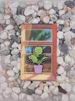 Значок фикус Лирата