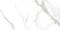 Neodom Classic Marble Statuario Irish Gold Polished 60x120