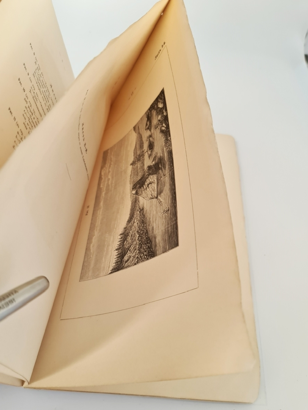 "Исследования о ледниковом периоде". П.А. Кропотин. 1876г.