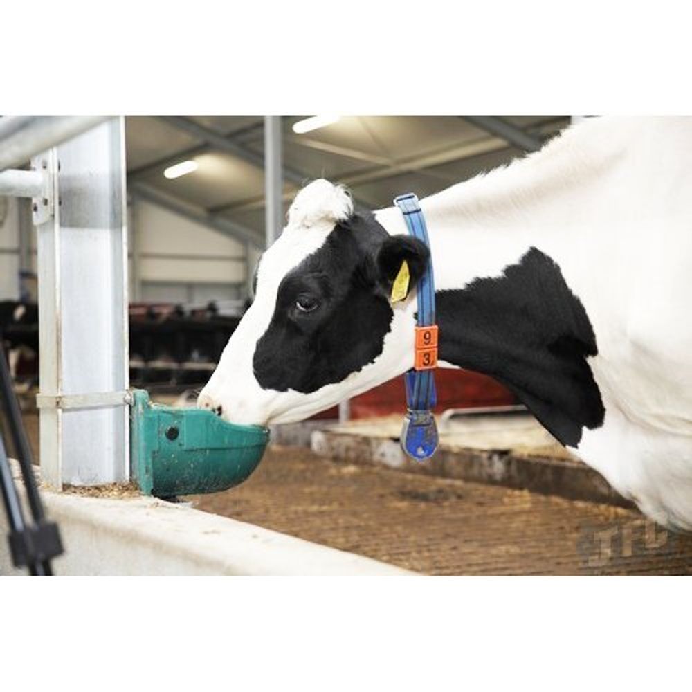 Поилка поплавковая для КРС, МРС, Лошадей, Собак пластик + нержавейка