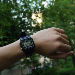 Часы CASIO W-215H-1A